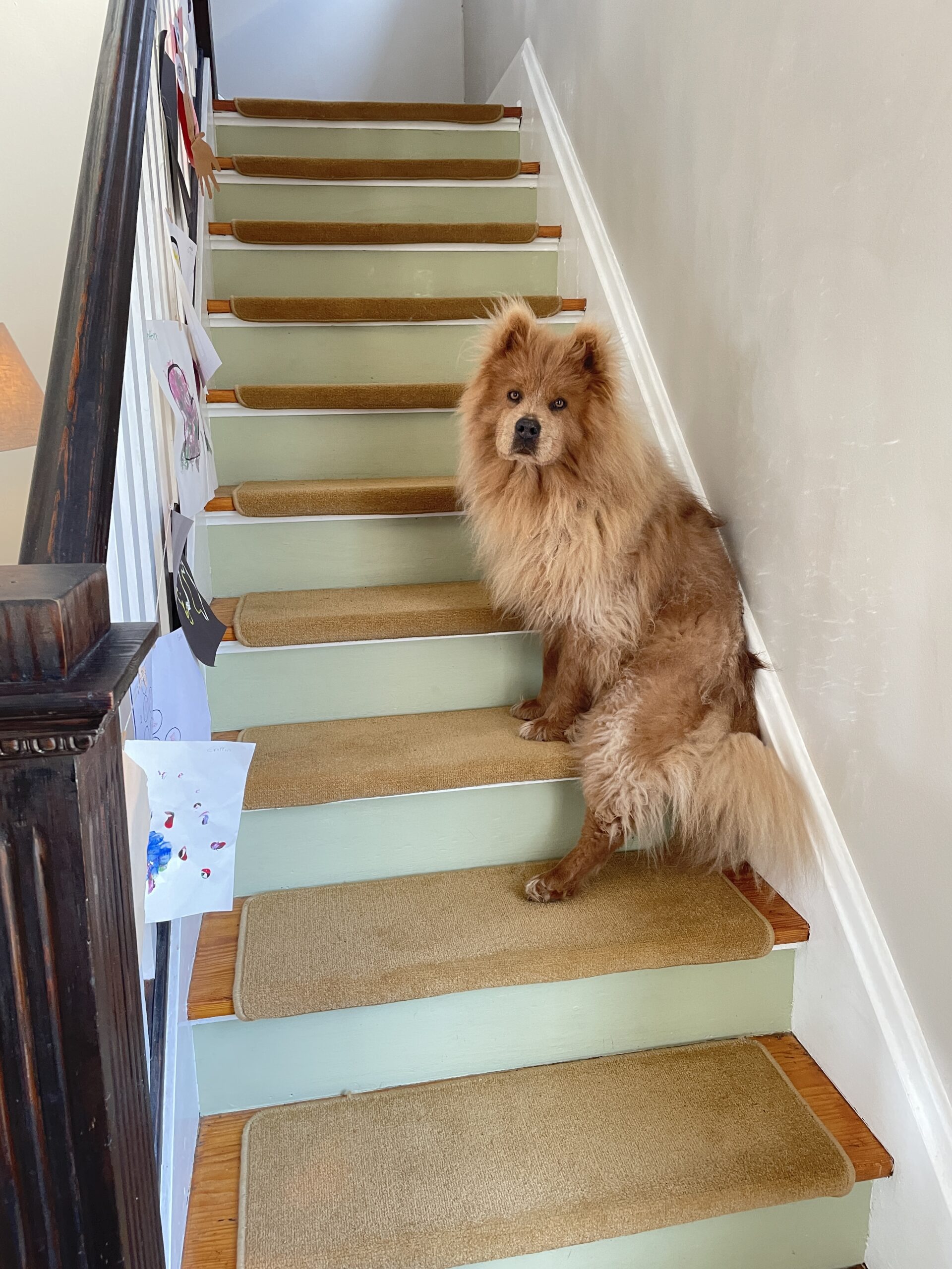 Do Yourself a Favor and Carpet Your Slippery Stairs