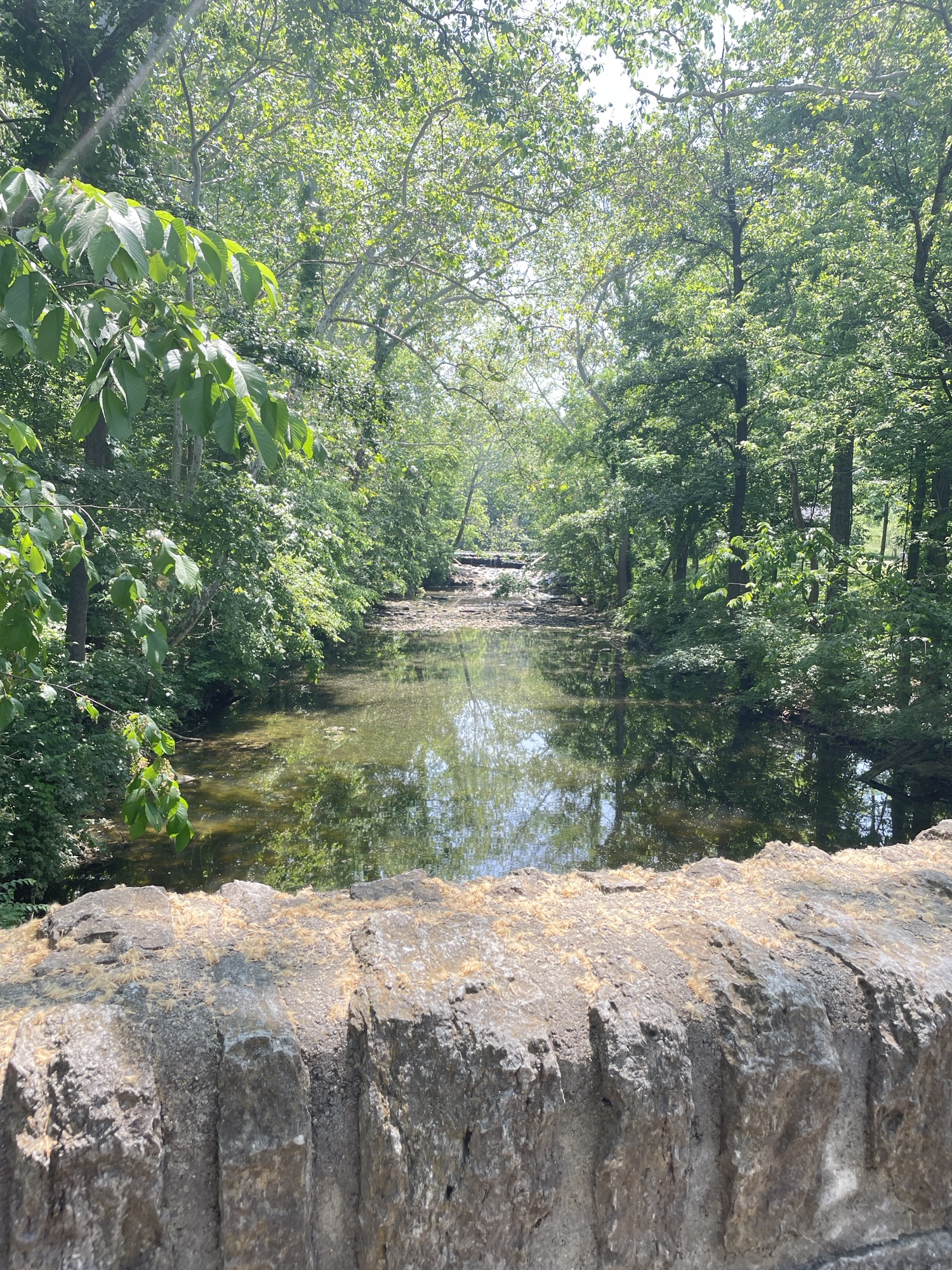 Sharon Woods Gorge: 4 Mile Trail and Lake Run