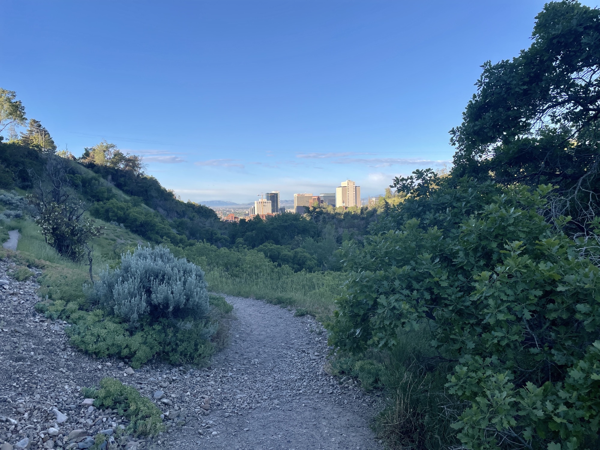 Salt Lake City Creek Park: 3-4 Mile Trail Run