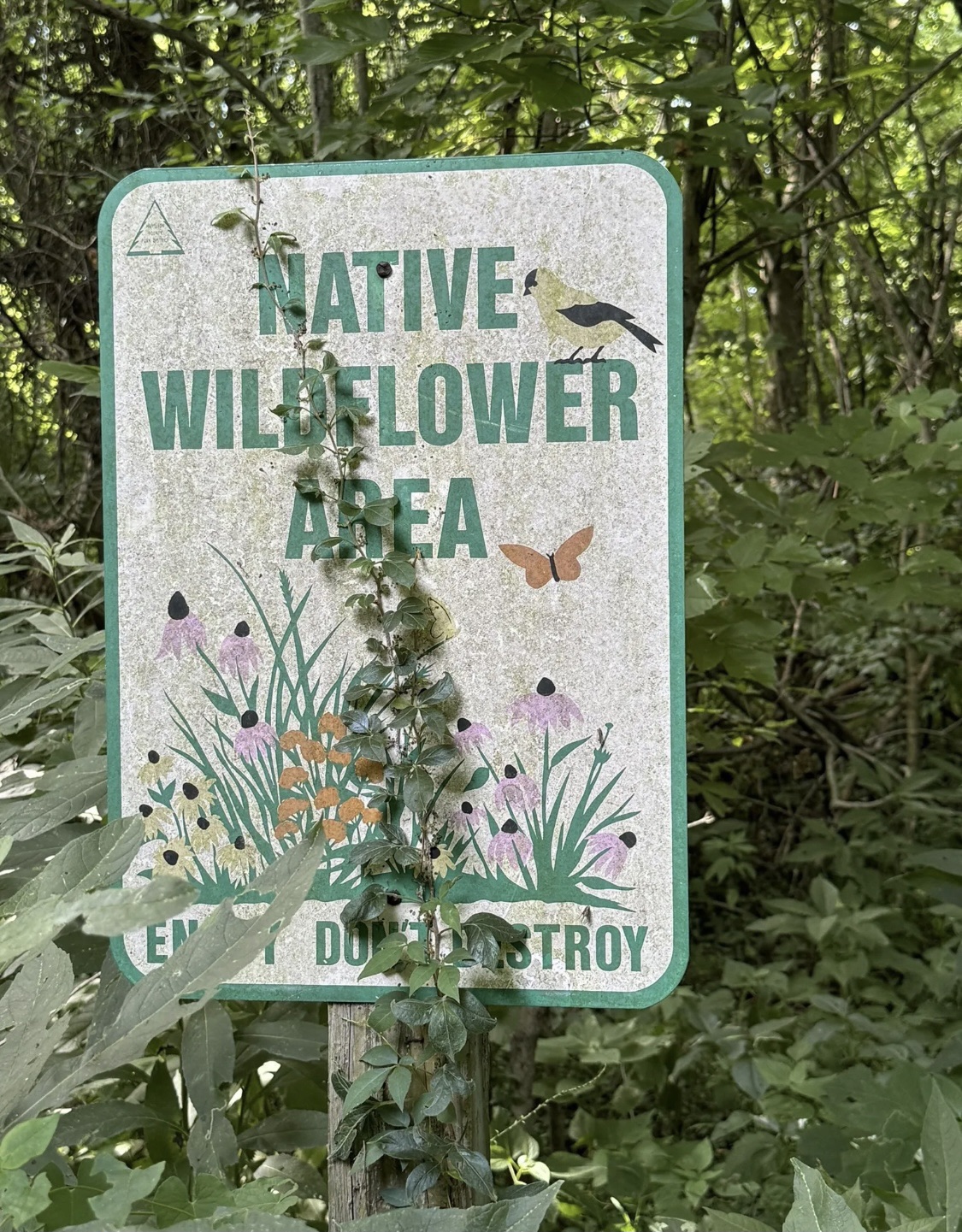 Withrow Nature Preserve: Trout Lily Trail 2 Mile Loop